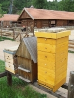 fotografie - vcelarska expozice v Zoo Praha