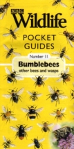 fotografie - kniha Bumblebees other bees and wasps