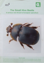 fotografie - kniha The Small Hive Beetle